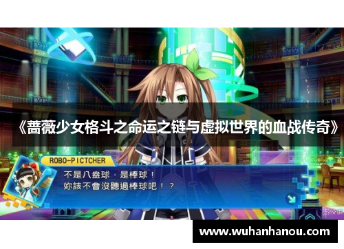 《蔷薇少女格斗之命运之链与虚拟世界的血战传奇》